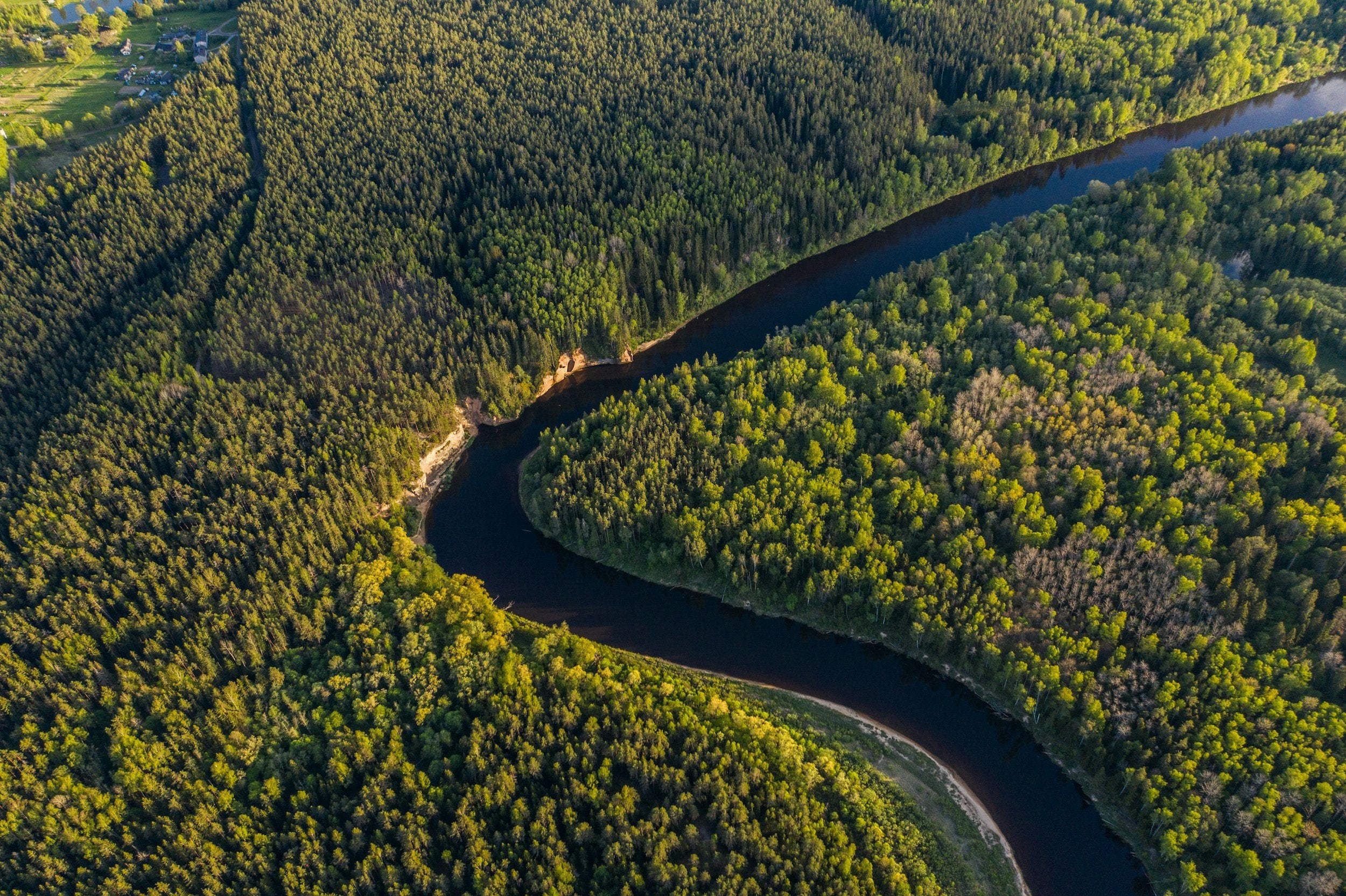 Sowing a greener future_ How we nurture nature