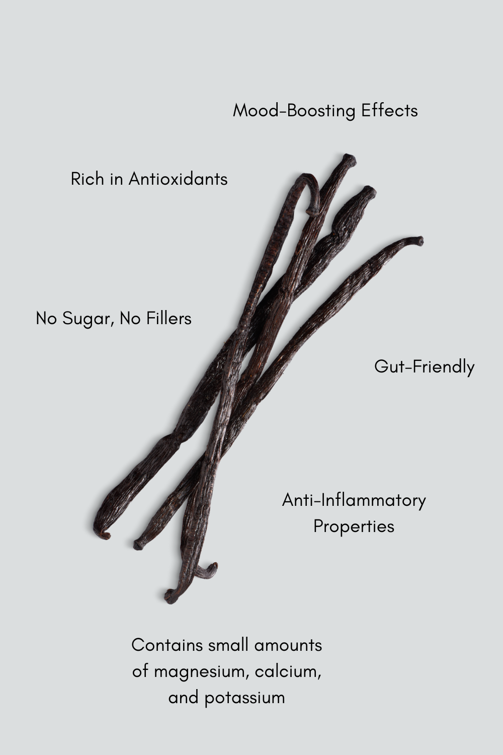 Pea Protein + Vanilla