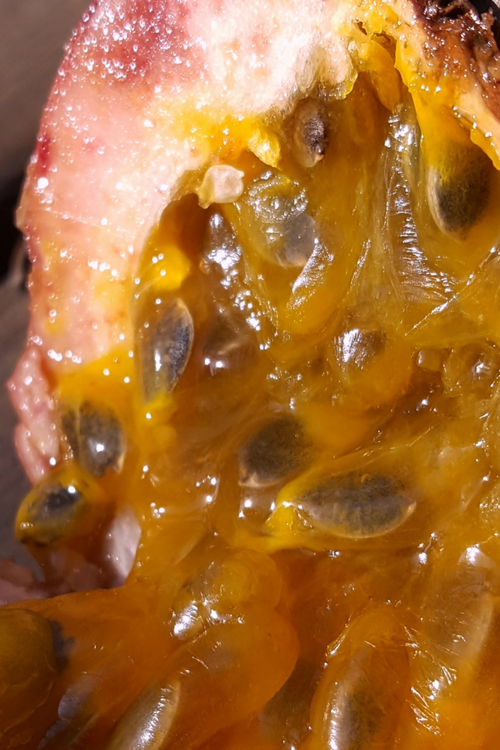 Pea Protein + Passionfruit