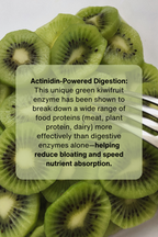 Pea Protein + Kiwifruit
